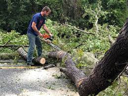 White River Junction, VT  Tree Services Company